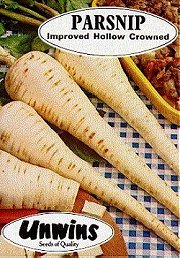 PARSNIP IMPROVED HOLLOW CROWNED - 