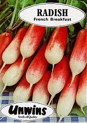 RADISH FRENCH BREAKFAST 3 - 