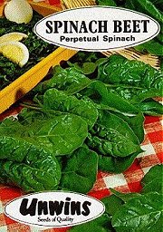 SPINACH BEET PERPETUAL - 