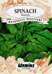 SPINACH MEDANIA - 