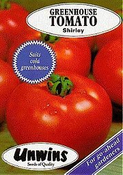 TOMATO SHIRLEY - 