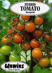 TOMATO SUNGOLD F1 HYBRID -
