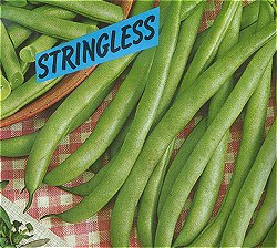 FRENCH BEAN TENDERCROP - 