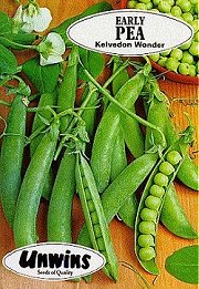PEA KELVEDON WONDER (EARLY) - 
