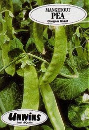 PEA OREGON GIANT (MANGETOUT) - 
