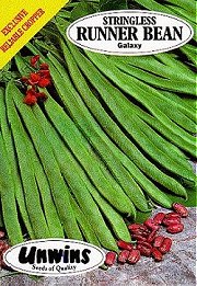 RUNNER BEAN GALAXY (STRINGLESS) - 