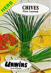 HERB CHIVES FINE LEAVED - Hardy Perennials