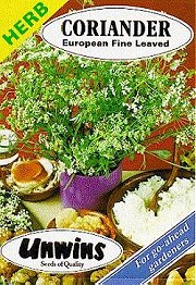 HERB CORIANDER FINE LEAVED - Hardy Annuals