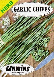 HERB GARLIC CHIVES -