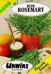 HERB ROSEMARY - Hardy Perennials