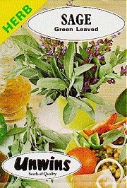 HERB SAGE GREEN LEAVED - Hardy Perennials