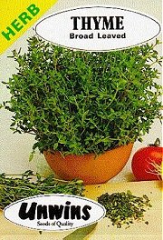 HERB THYME - 