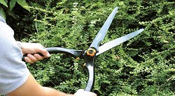 Hand Shears - Notched Hand Shear