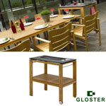 Gloster Elan
