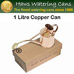 1 Litre Copper Can