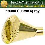Watering Can Roses