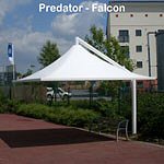 Predator Permanent Shades