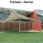 Predator Permanent Shades