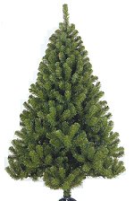 Glendale Spruce 3ft - 7ft
