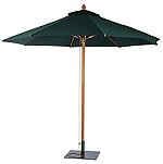 Bridgman Parasols and Bases