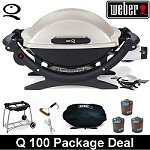 Weber Q 120