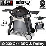Weber Q 220