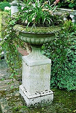 Urns and Vases