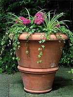 Urns and Vases