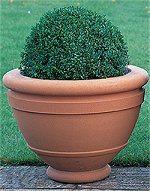 Jardinieres