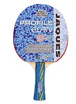 Table Tennis Evolution Bats