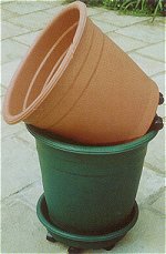 Megapots