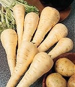Parsnip F1 Gladiator