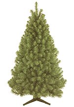 Langdale Premier Spruce 12ft - 15ft