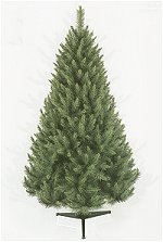 Douglas Premier Fir 6ft