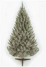 Brunswick Premier Fir 4.5ft - 8ft