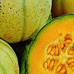 MELON SWEETHEART