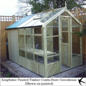 swallow_painted_kingfisher_combi_6x6_xl