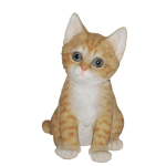 Pet Pal - Kitten (2) Pet Pal – Kitten (2)