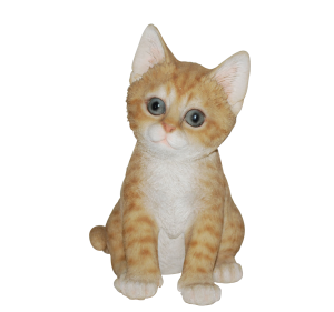 Pet Pal - Kitten (2)