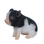 sitting micro pig-black brown pink sitting micro pig-black brown pink