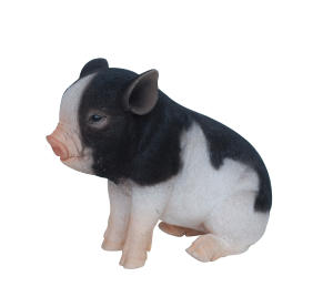 sitting micro pig-black brown pink