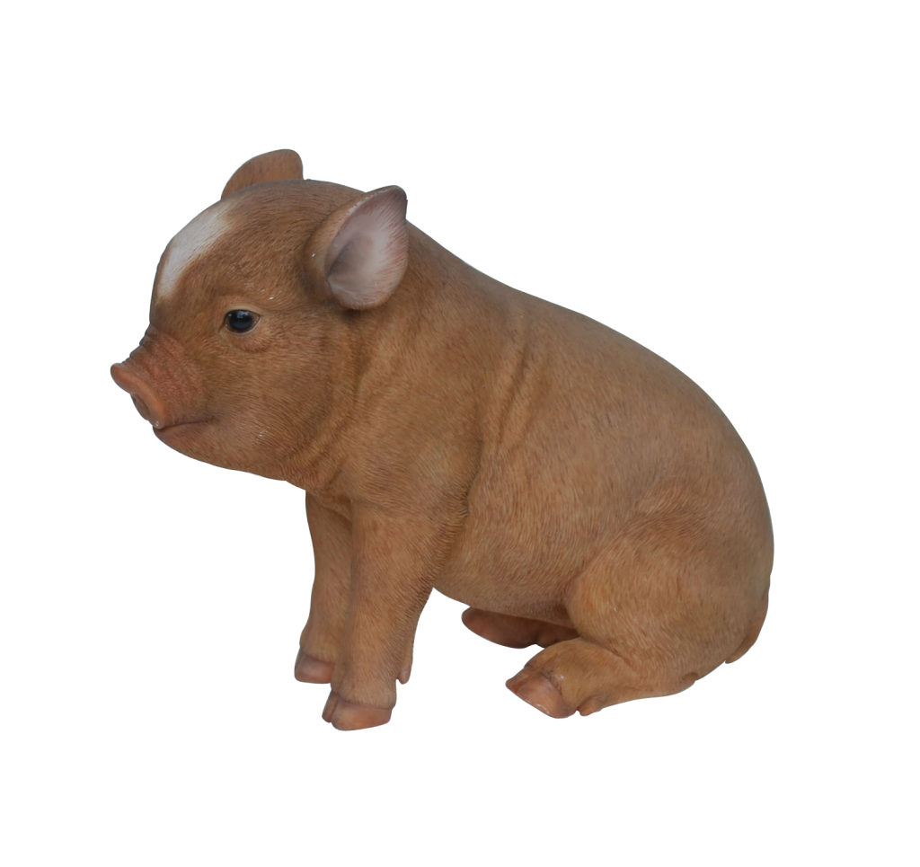 sitting micro pigbrown with pink stripe Birstall Garden & Leisure