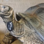 20130901-131159.jpg 20130901-131159.jpg