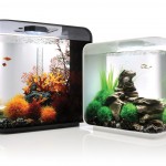 FLOW_hero_30and15 FLOW_hero_30and15