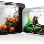 FLOW_hero_30and15 FLOW_hero_30and15