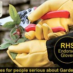 gold-leaf-rhs-gardening-gloves gold-leaf-rhs-gardening-gloves