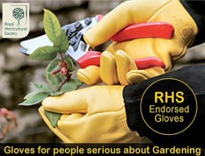 gold-leaf-rhs-gardening-gloves
