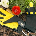 soft touch soft touch