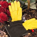 tough touch tough touch