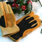 winter touch winter touch